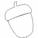 acorn simple